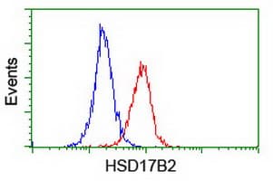 HSD17B2 Antibody (clone OTI4F10)