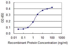 EIF4EBP1 / 4EBP1 Antibody (clone 4F3-H2)