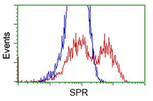 SPR Antibody (clone OTI3A9, Carrier-free)