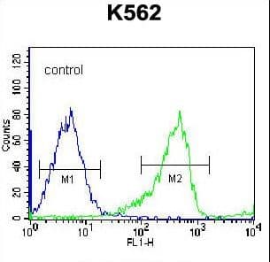 Polyclonal Rabbit anti-Human PCDHB14 Antibody (aa166-193, IHC, WB)