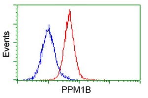 Monoclonal Mouse anti-Human PPM1B Antibody (clone OTI3C9, IF, WB)