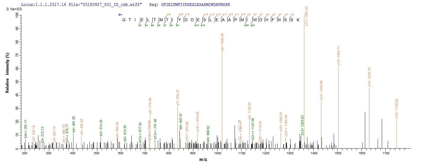 Vesicular Stomatitis Virus SARS-CoV Matrix Protein (Recombinant 10His, N-terminus + Myc, C-terminus)