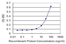 NME6 Antibody (clone 2A10)