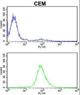 MPZ / P0 Antibody (aa186-215)