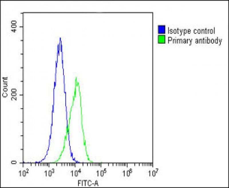 PCSK1 Antibody (C-Terminus)