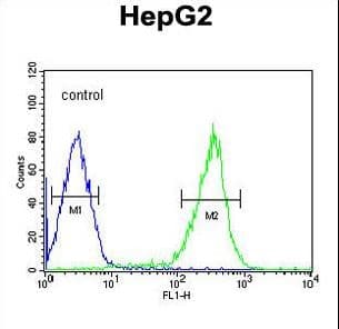 PCBD1 / PHS Antibody (aa11-37)