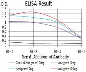 NAA10 / ARD1A Antibody (clone 3G3E9)