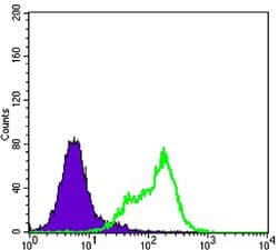 CTG-B45d / THAP11 Antibody (clone 3F3)