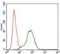 IGF2 Antibody (Amino Acid: 25-180, clone 8H1)