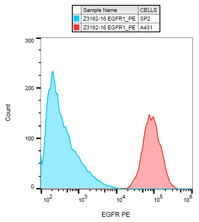EGFR Antibody (clone EGFR1, PE)