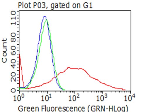 HAVCR2 / TIM-3 Antibody (clone OTI4E4)