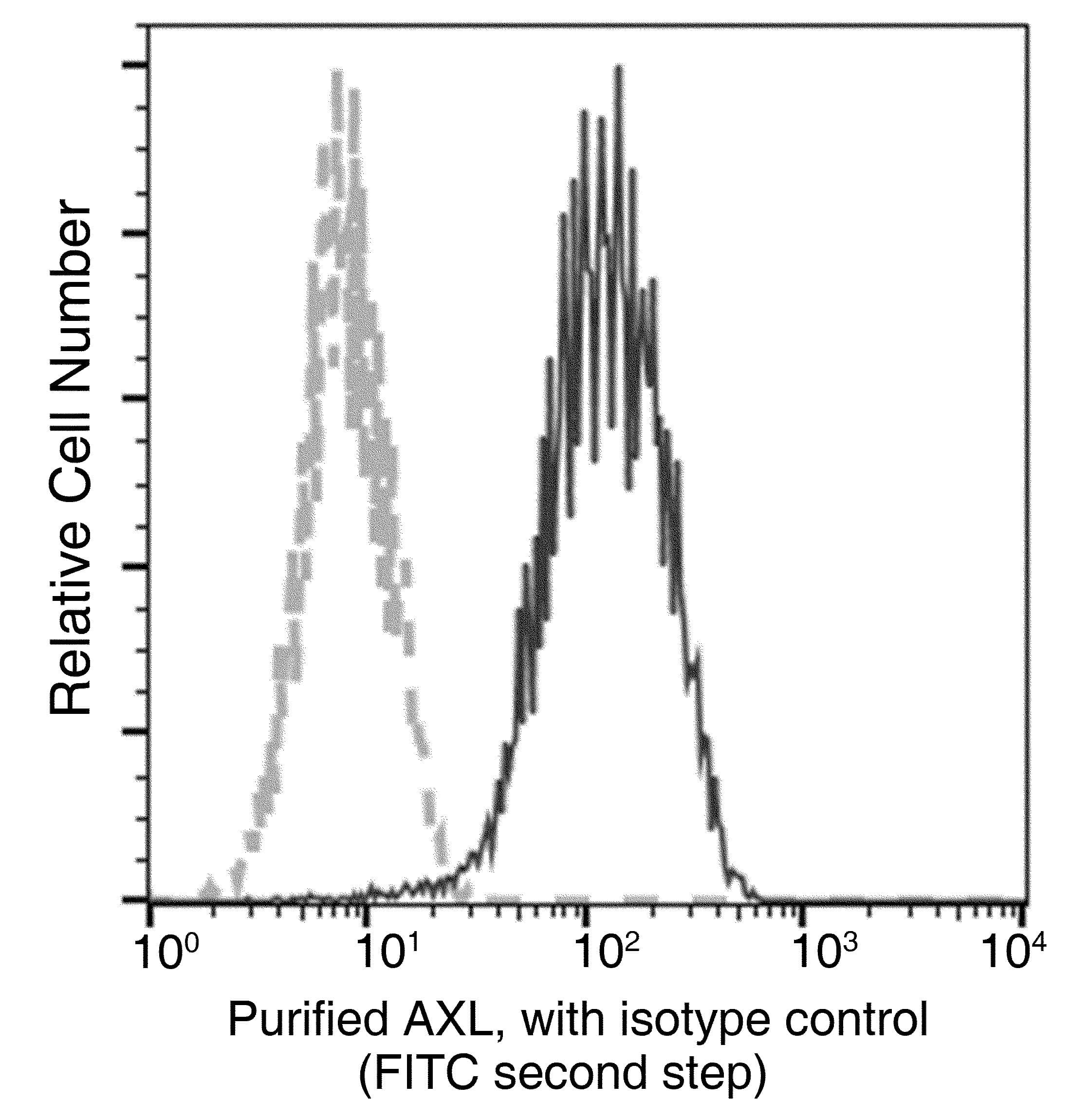 Monoclonal Rabbit anti-Human AXL Antibody (clone 101, Preservative Free)