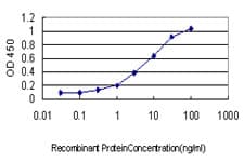 Monoclonal Mouse anti-Human DNM2 / Dynamin-2 Antibody (clone 6C9, WB)