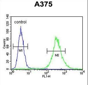 ZCCHC17 / PNO40 / PS1D Antibody (aa159-187)