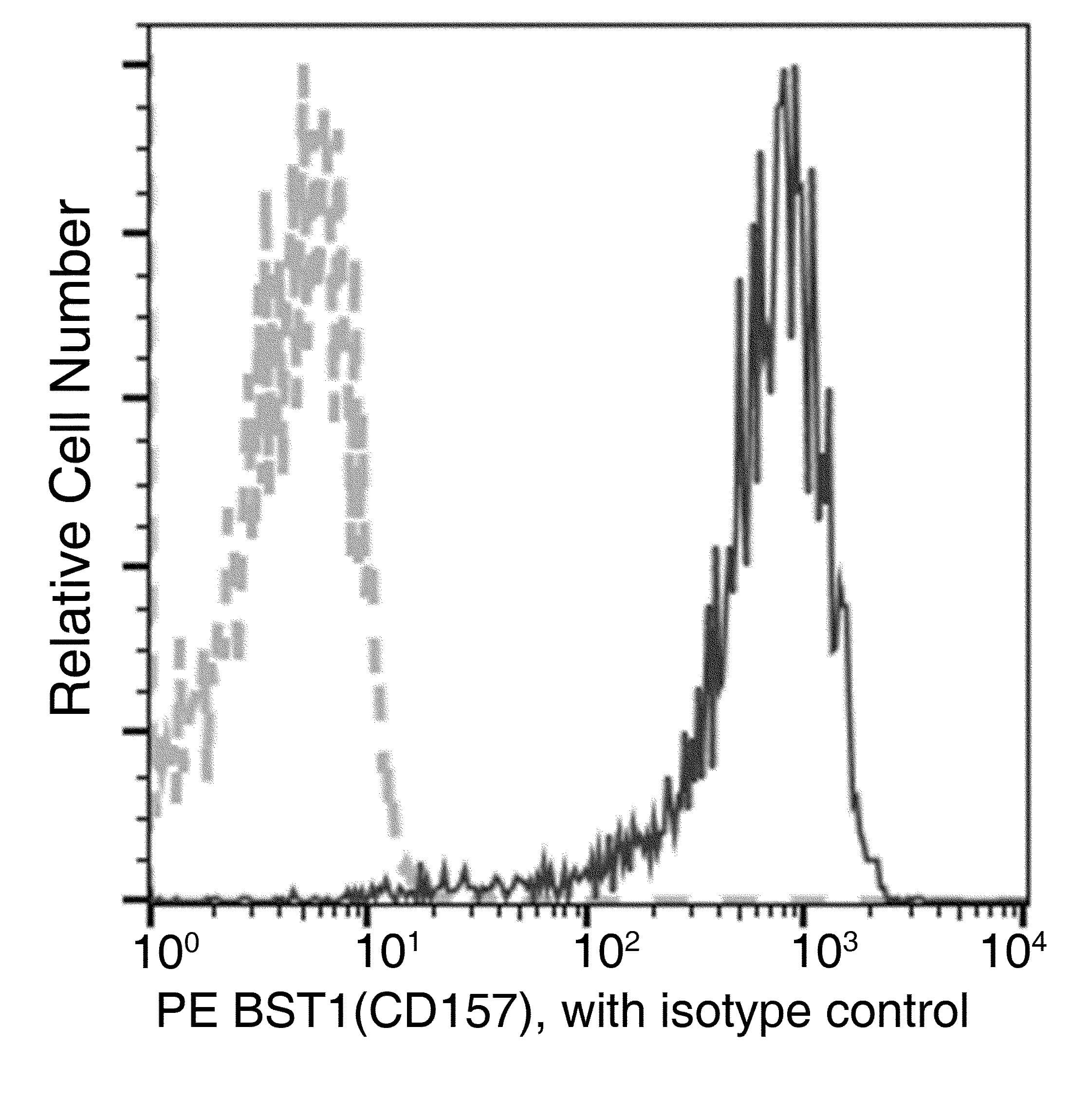 CD157 Antibody (clone 10, PE)