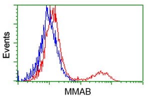 MMAB Antibody (clone OTI3B8)
