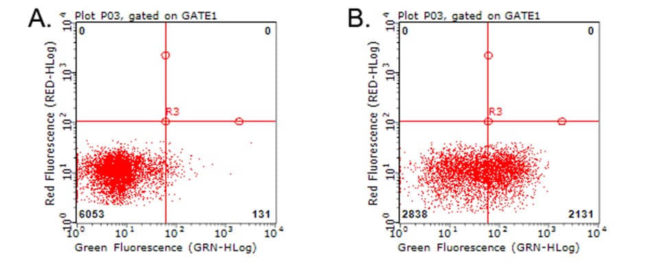 HAVCR2 / TIM-3 Antibody (clone OTI2C11)
