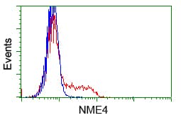 Monoclonal Mouse anti-Human NME4 Antibody (clone OTI1C11, IHC, IF, WB)