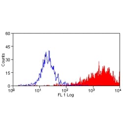 CD9 Antibody (clone MF1)