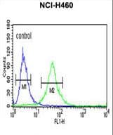 RPS13 / Ribosomal Protein S13 Antibody (aa82-110)