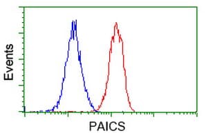 IHC-plus™ PAICS / ADE2 Antibody (clone 1B4)