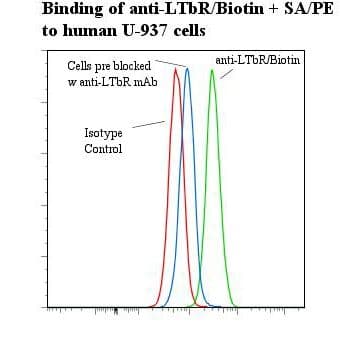 LTBR Antibody (clone ANCLTR2/9E2, Biotin)