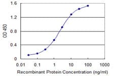 IHC-plus™ Monoclonal Mouse anti-Human AATF Antibody (clone 3C7, IHC, IF, WB)