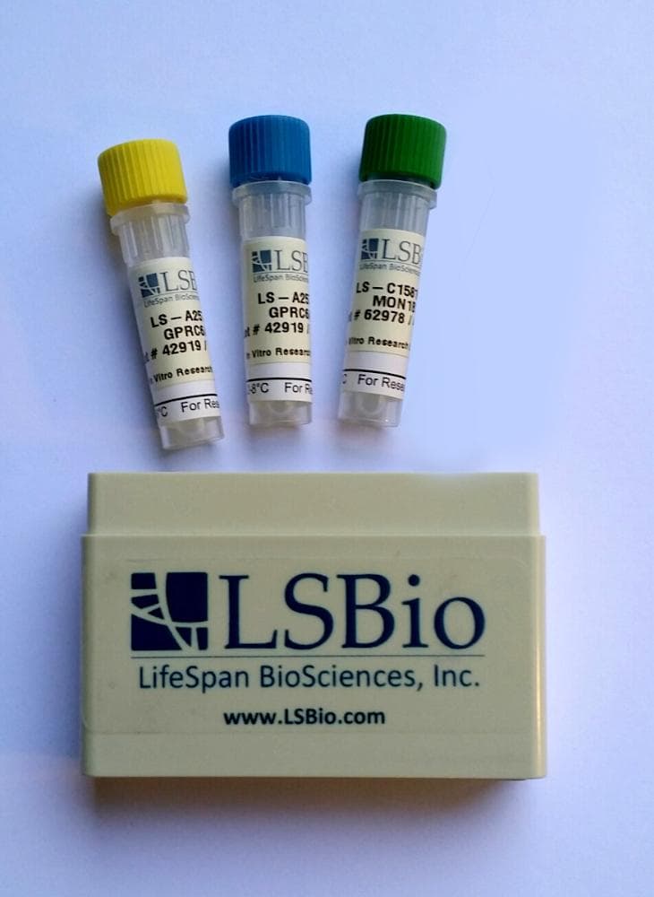 DevKit DuoPlus Chicken NTN3 / NTN2L ELISA Development Kit