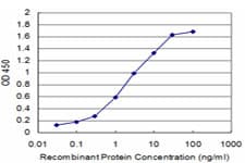 CHML Antibody (clone 5G4)