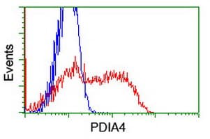 PDIA4 / ERP72 Antibody (clone OTI2E2, Carrier-free)