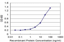 CYP7B1 Antibody (clone 2B11)