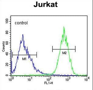 Polyclonal Rabbit anti-Human PRRG3 / TMG3 Antibody (aa121-150, WB)
