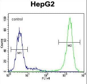 TIGD3 Antibody (aa378-407)