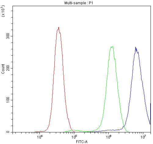 CCT4 / SRB Antibody