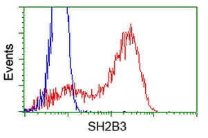 SH2B3 / LNK Antibody (clone OTI1E6)