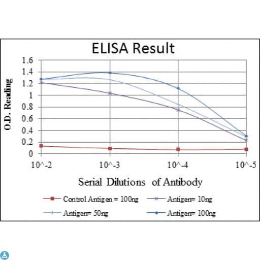 MAPK6 / ERK3 Antibody