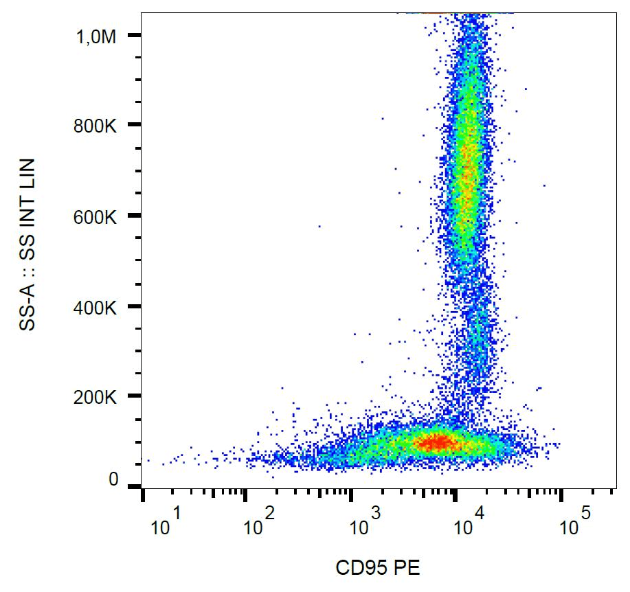 CD95 / FAS Antibody (clone LT95, PE)