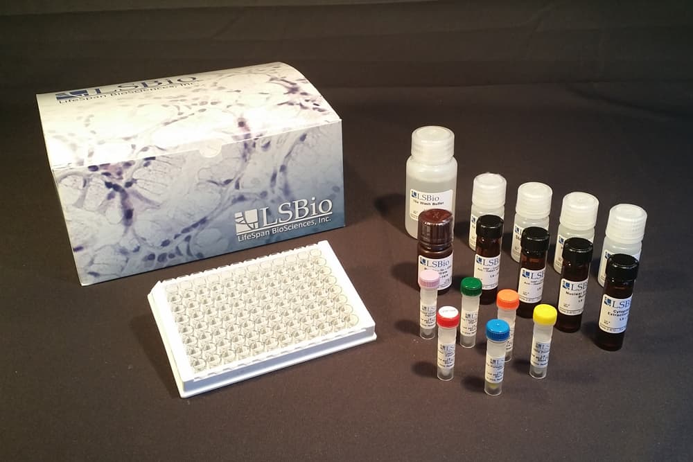 Mouse/Human/Rat E2F5 ELISA Kit (DNA-Binding ELISA)