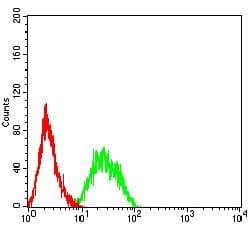 LRP6 Antibody (clone 1A3F5)