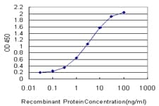 TRIB2 Antibody (clone 1B1)