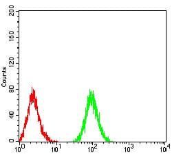 ATG3 Antibody (clone 2C10A12)