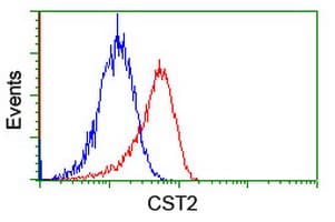 Cystatin SA / CST2 Antibody (clone OTI2D6, Carrier-free)