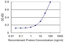 Monoclonal Mouse anti-Human CLCN6 Antibody (clone 2H2, IF, WB)