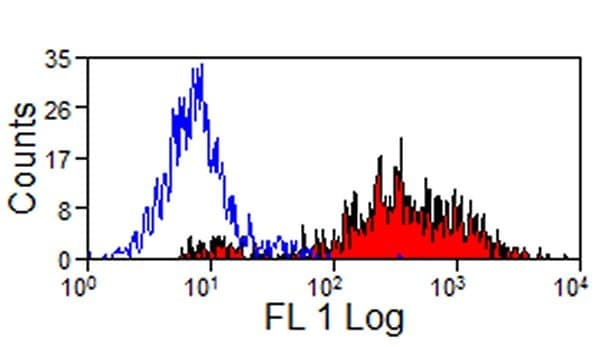SLA Class II DR Antibody (clone 2E9/13)