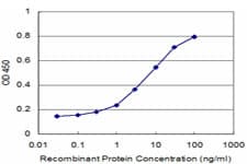 CCT7 Antibody (clone 3A6)