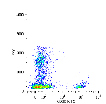 CD20 Antibody (clone LT20, FITC)