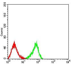 Monoclonal Mouse anti-Human CLEC9A Antibody (clone 2H6H10, WB)