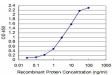TAF11 Antibody (clone 3G6)