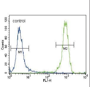 FGFR2 / FGF Receptor 2 Antibody (aa22-51)