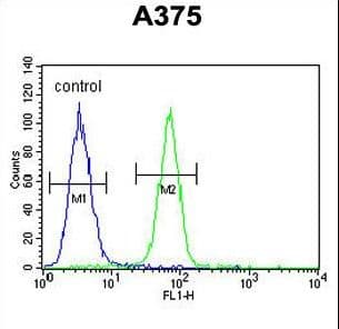 DERA Antibody (aa12-41)
